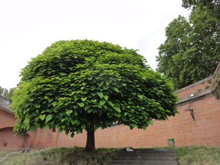 20110613 175106